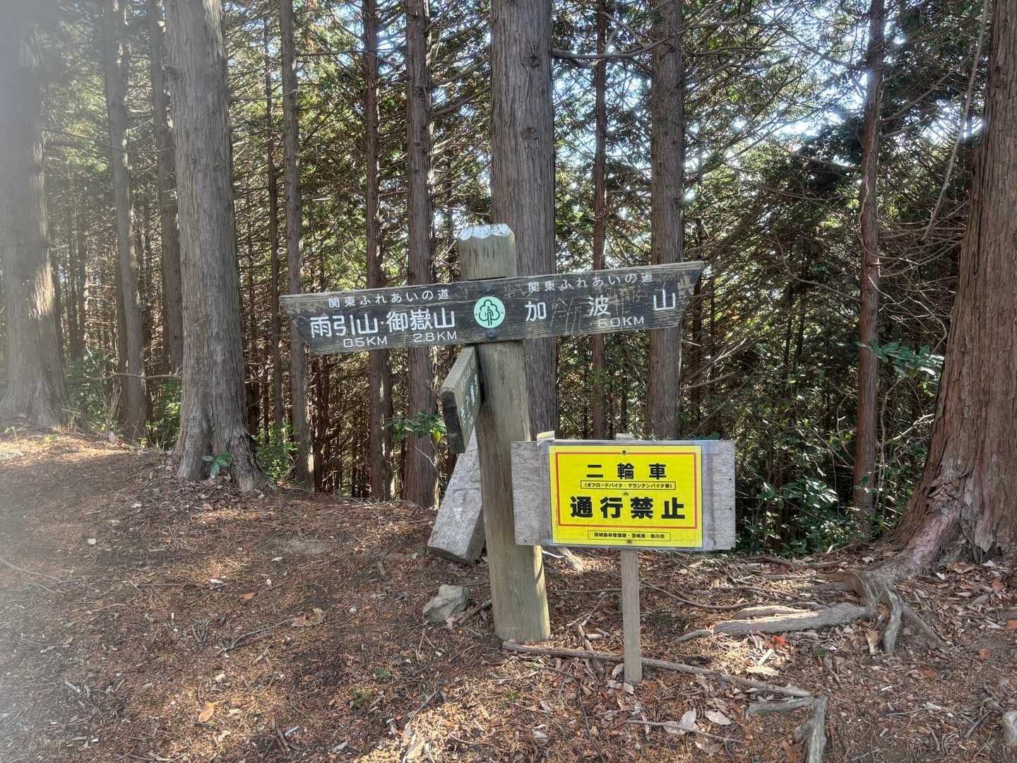 なんとか登山道に復帰。分岐に到着。加波山まで行く気力なし。