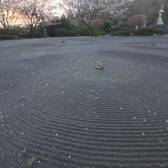 相変わらず美しい✨

ご住職に、以前もお会いしたんですよ🎵リタイアした時です。って覚えてないよね😆ｻﾝﾈﾝﾏｴ