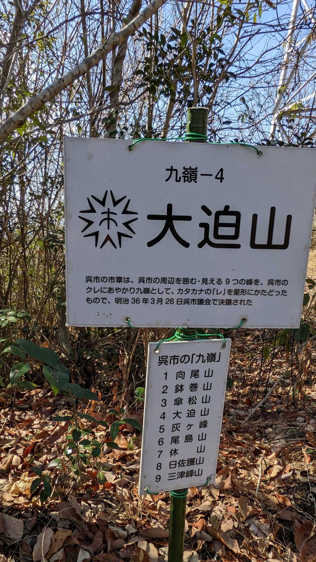 大迫山🏔山頂