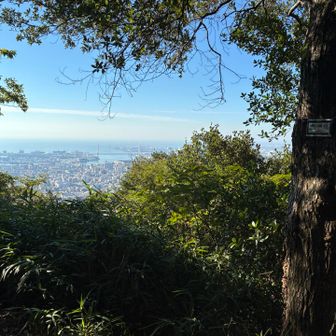城山山頂