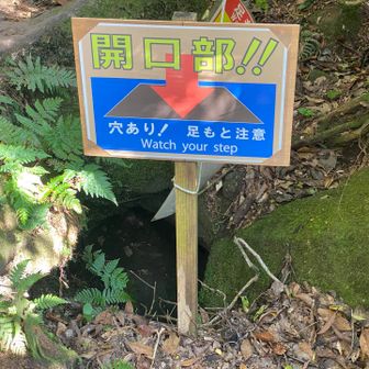 仙人洞には落ちたら大事故になりそうな落とし穴があった。