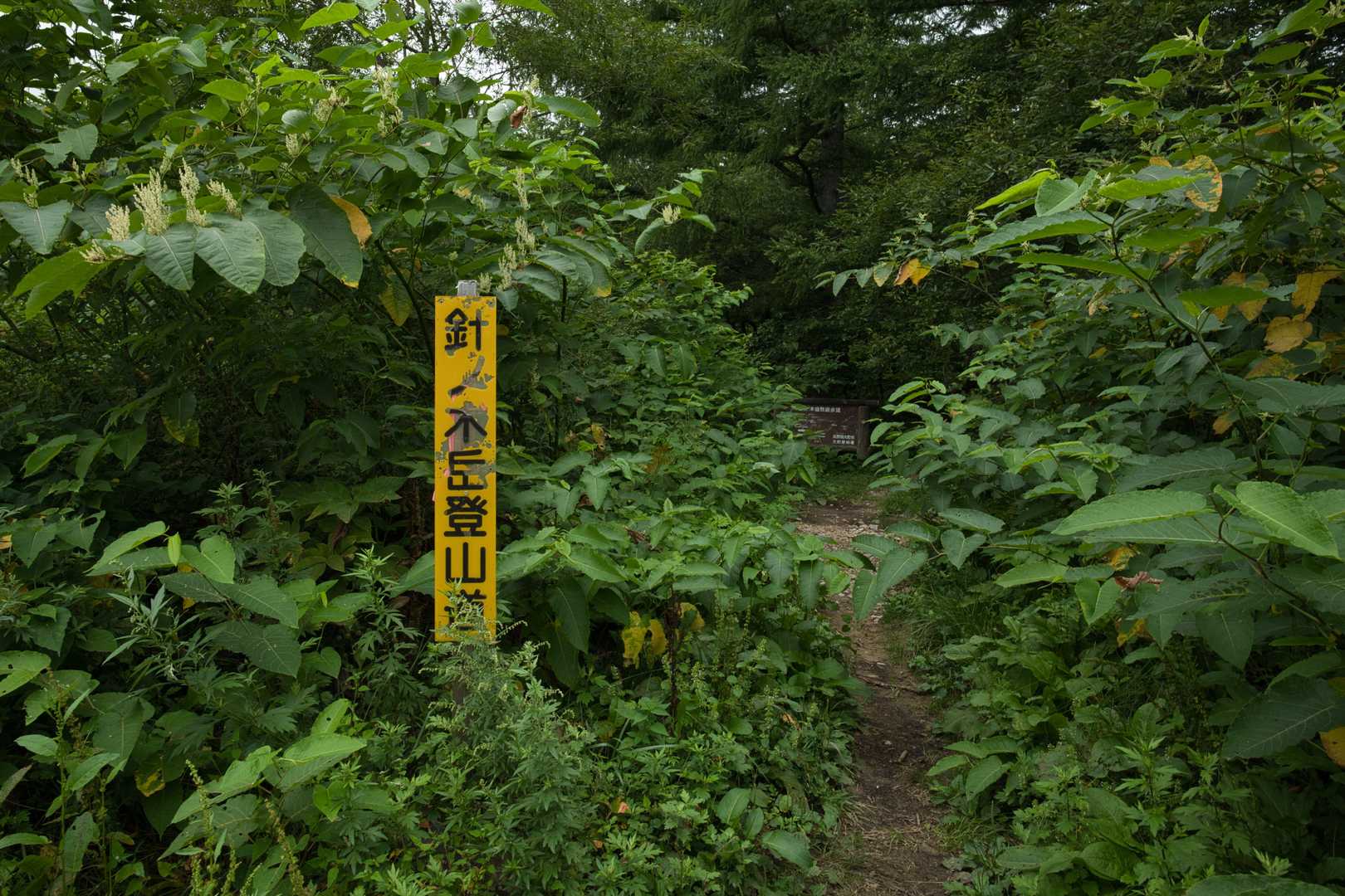 ゴール‼️