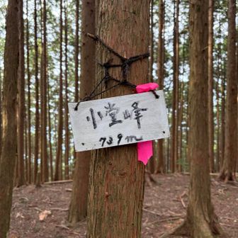 小堂峰