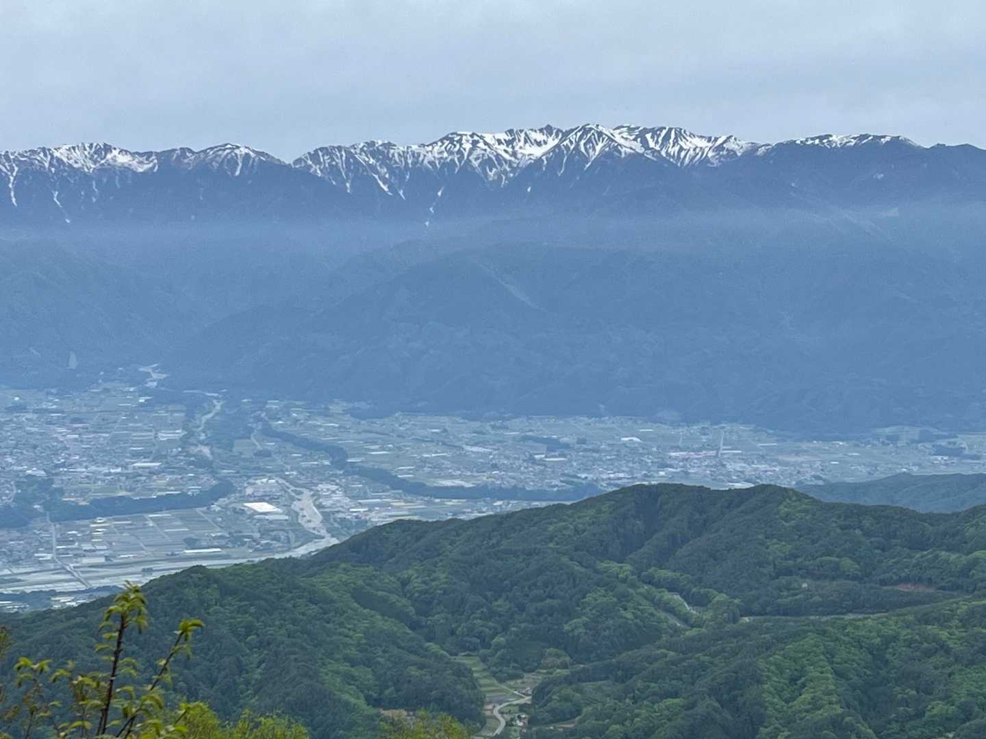 戸倉山 往復コースの写真