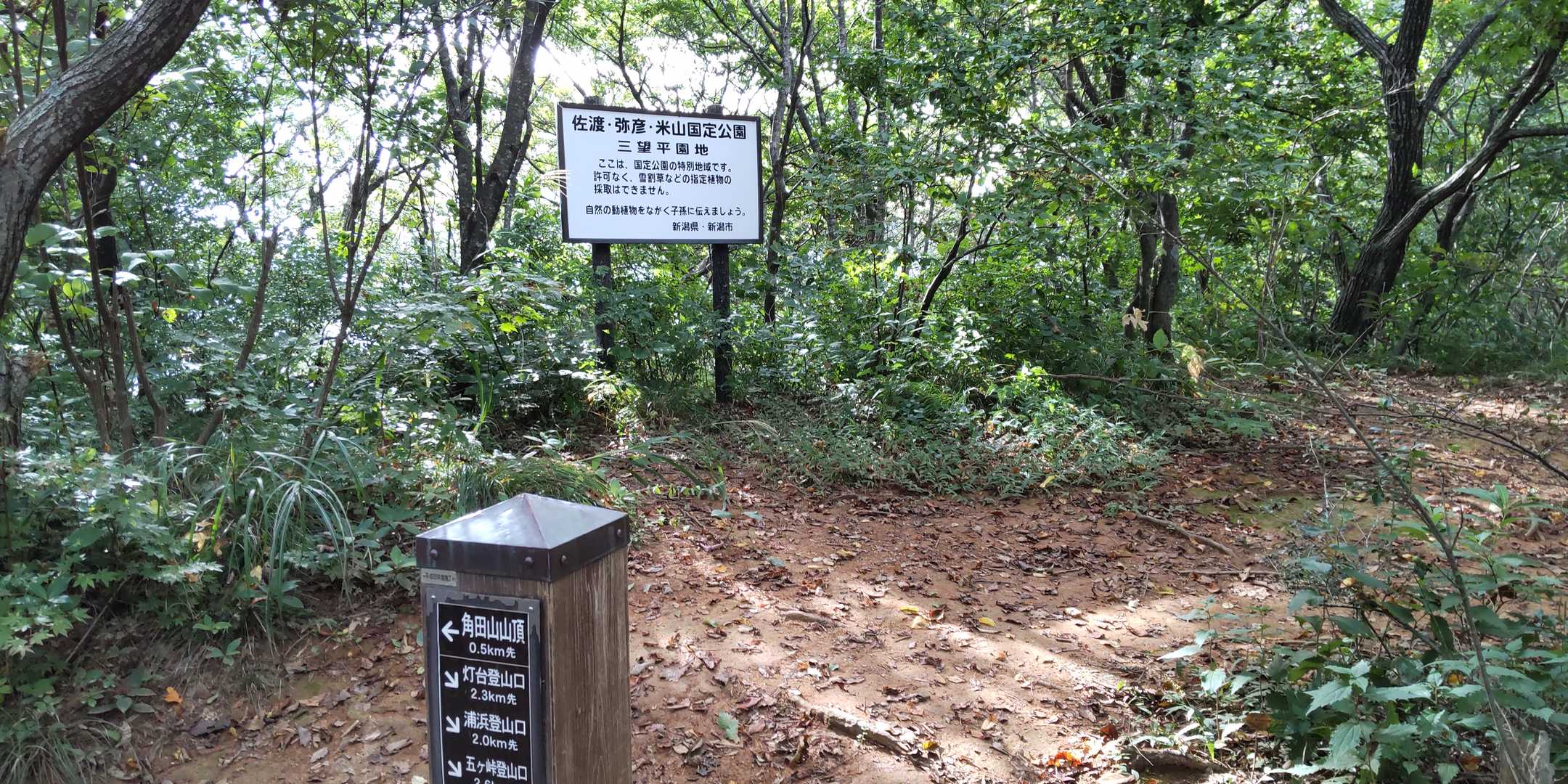 片平山-角田山 往復コースの写真