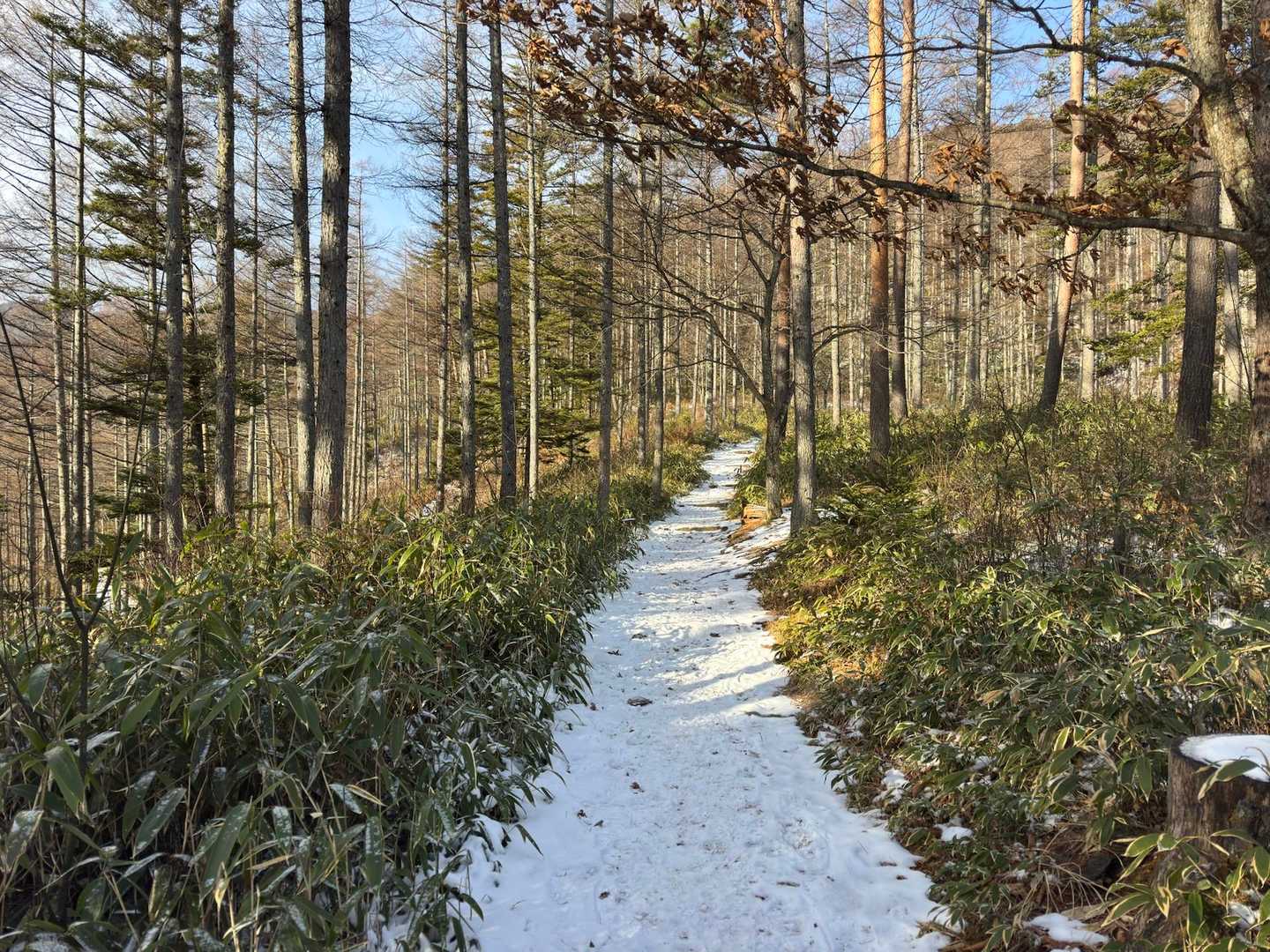 雪が残ってるところもあるけど、凍ってないので滑り止めなくても普通に歩けます