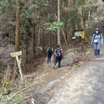 登山口までちょっと歩くよ。