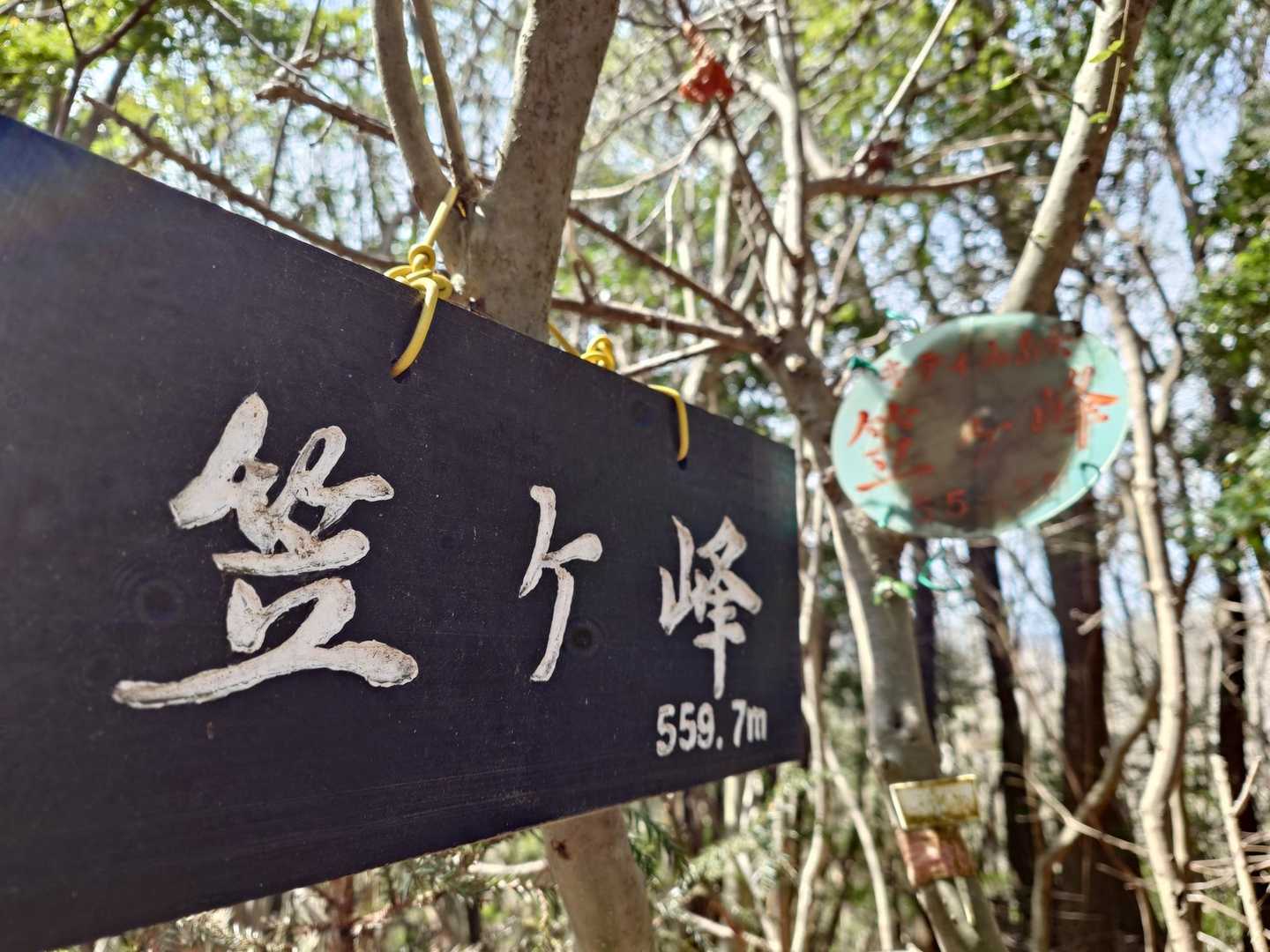 笠ヶ峰　登頂🚩