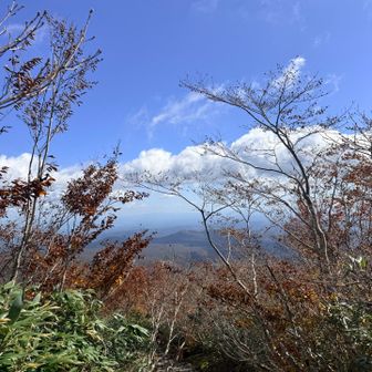 下山は東栗駒山へ周回の予定でしたが
身体が浮くほどの爆風と聞いて引き返し、ピストンで下山