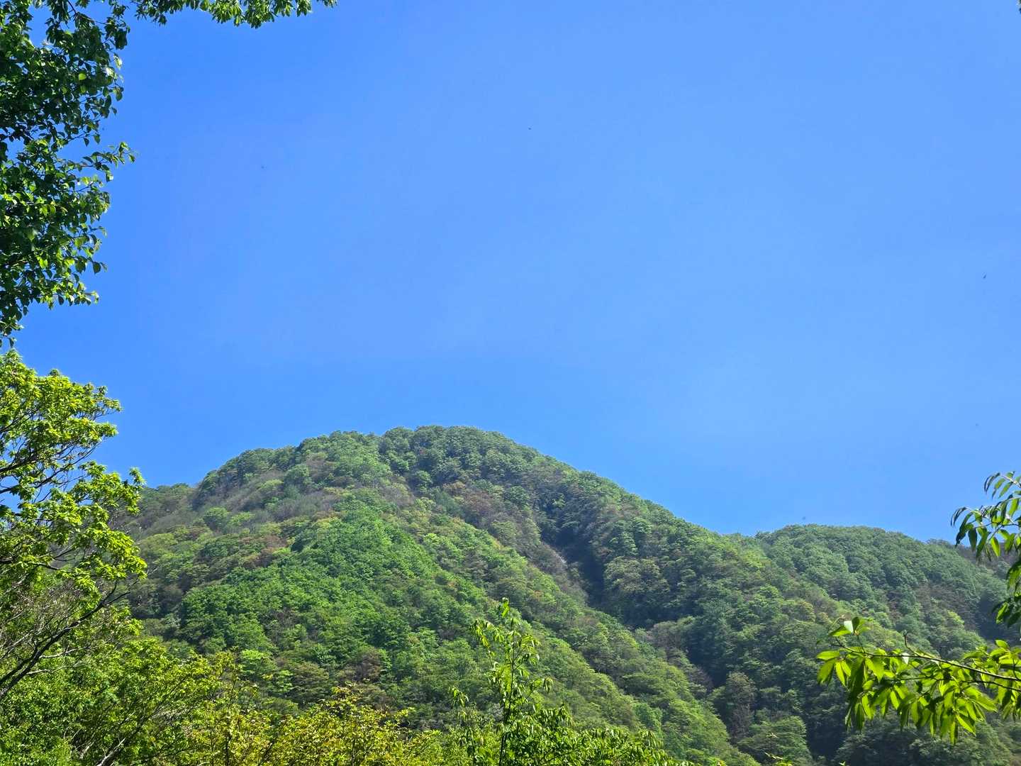 横山岳かな？