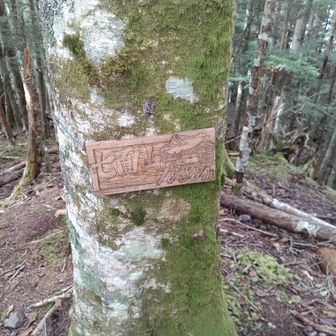 七面山最高地点。景色なし、しょぼい。
