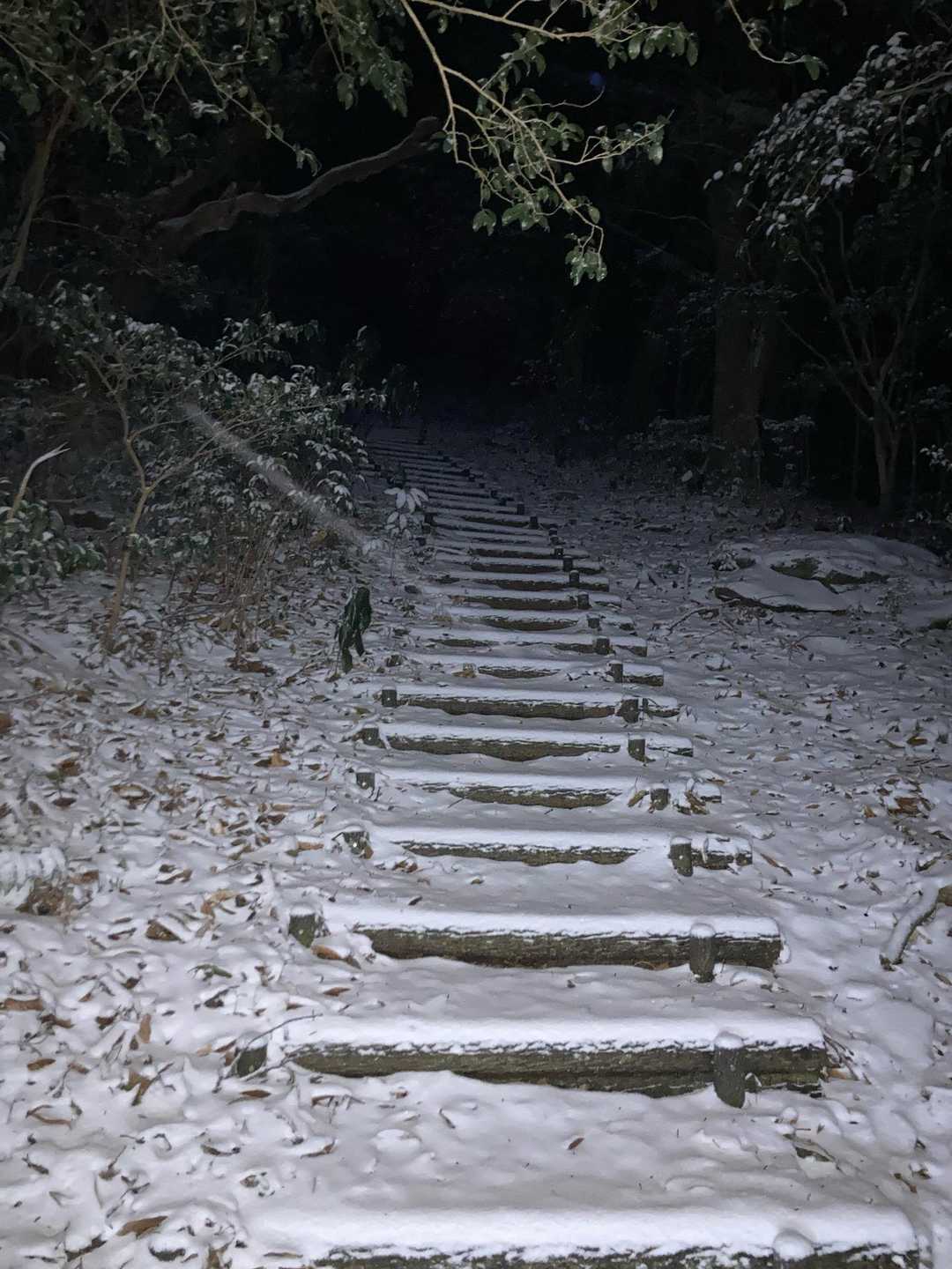 雪でテンションUP
長い階段も楽しい〜♪