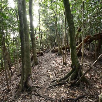 ピンクテープがありますが