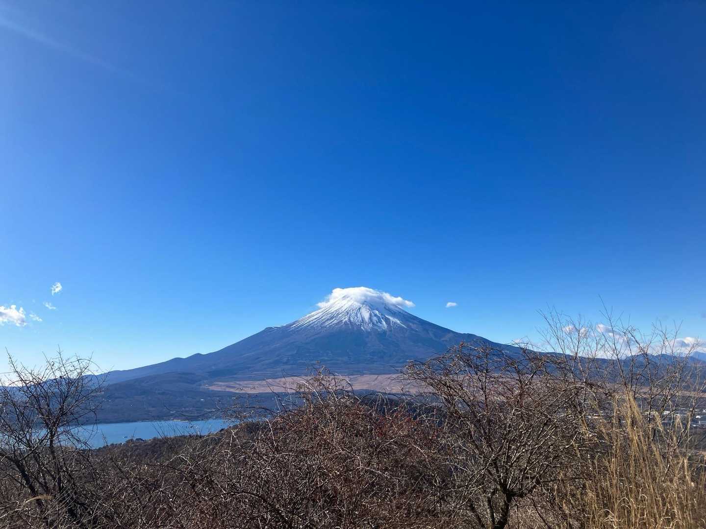 到着は