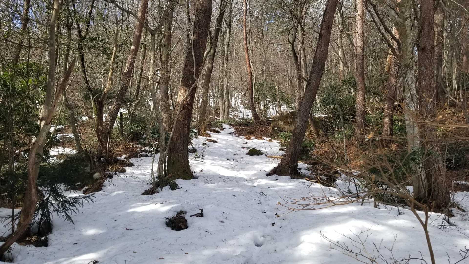 少し雪がでてきた