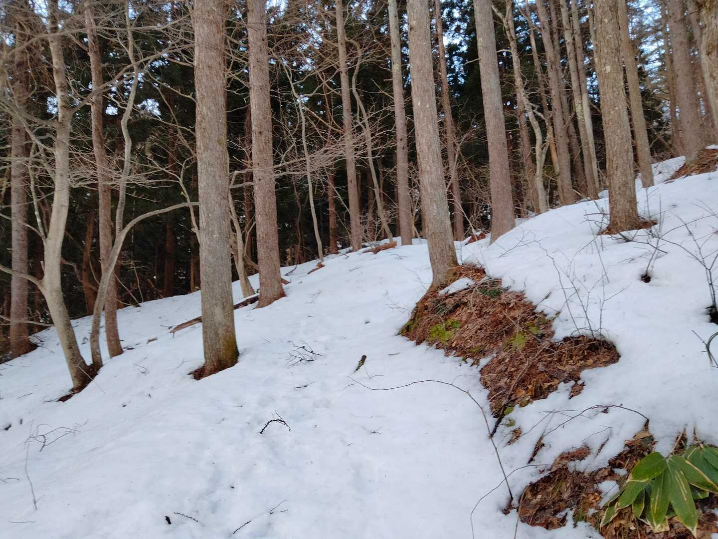 今朝は私が一番乗り