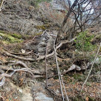 錆びた鉄ハシゴあり