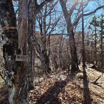 茶臼山山頂
普通にあるくと巻き道で山頂標識は通過してしまうので、少し引き返しました