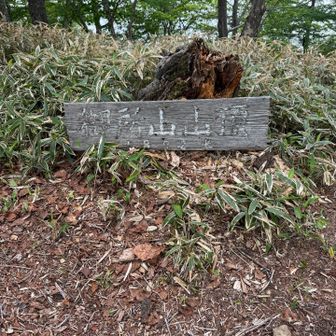 ここも人気ない