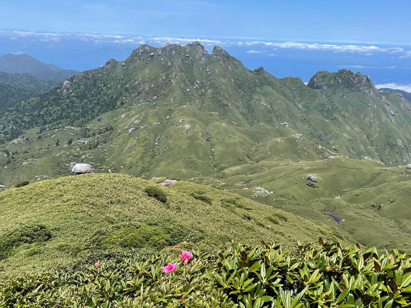 淀川登山口-花之江河-黒味岳-宮之浦岳-永田岳-縄文杉-大 縦走コースの写真