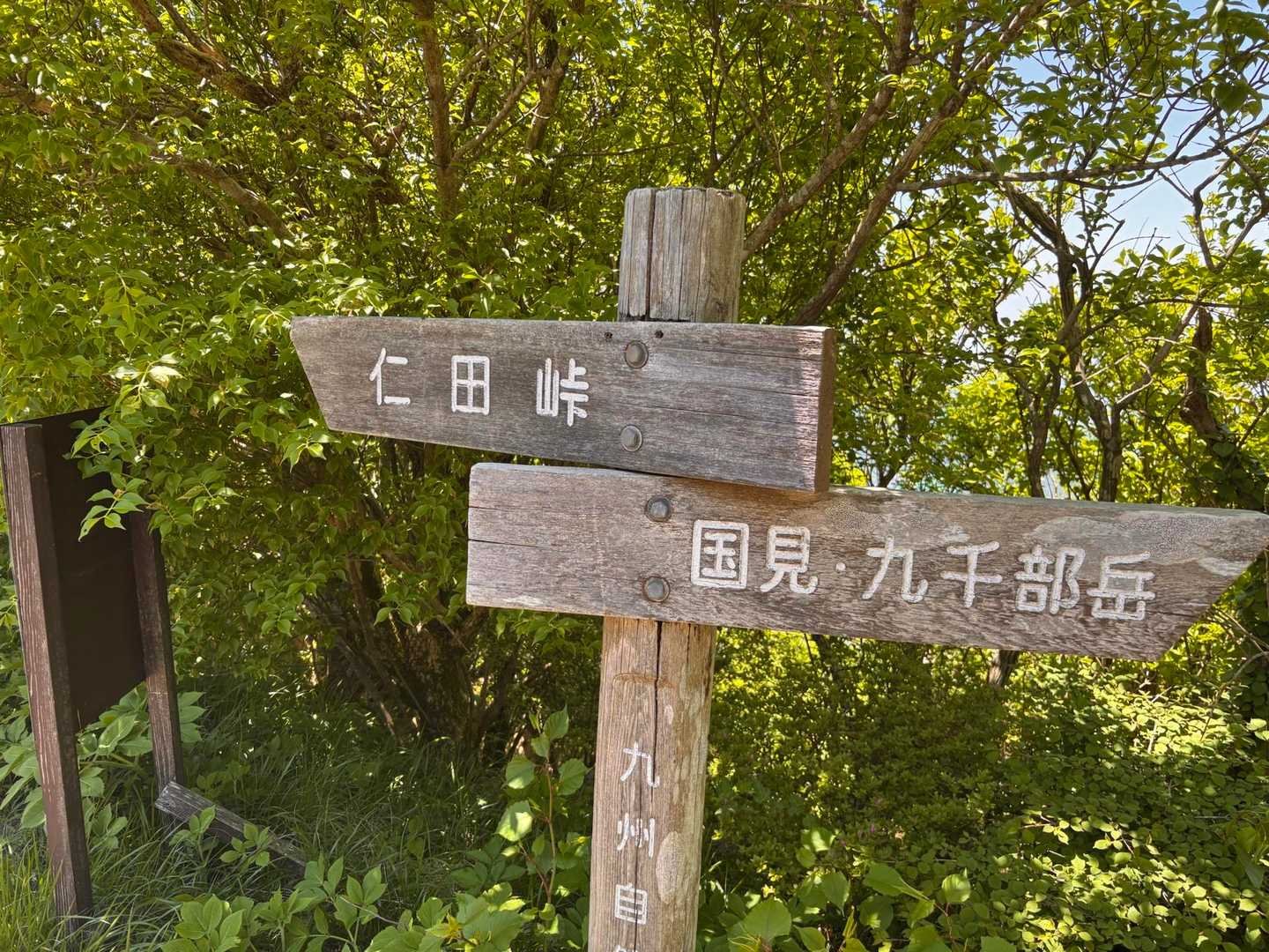 国見へえっちらほい🚶‍♀️