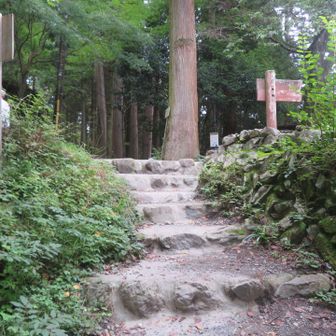 下った先には登りがある。と、いうことで激下りからの激登りして⤴️