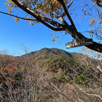 鷹尾山の山頂から