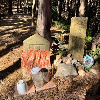 ここから健脚ルートに合流🙏