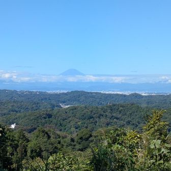 十二所果樹園展望地からの眺め
