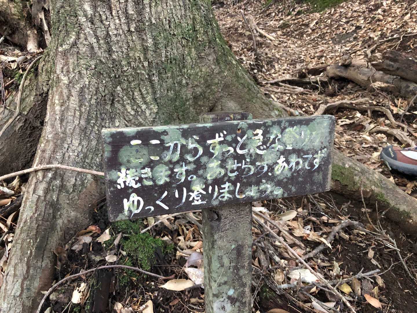 はいはい、わかりました。焦らずゆっくりですね、私の得意な事です。ボチボチ歩く事🚶‍♀️🚶🏿‍♂️