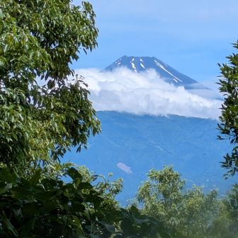 今日は無理かと思ってましたが富士山が見えたー😚