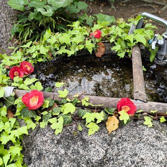 御手水が美しい！