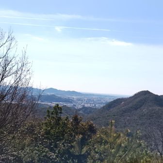 景色…こんな感じだった…