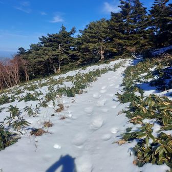 東之川方面にはトレースがありました🤣
なんかデカく見えるんでスノーシューかな🤔