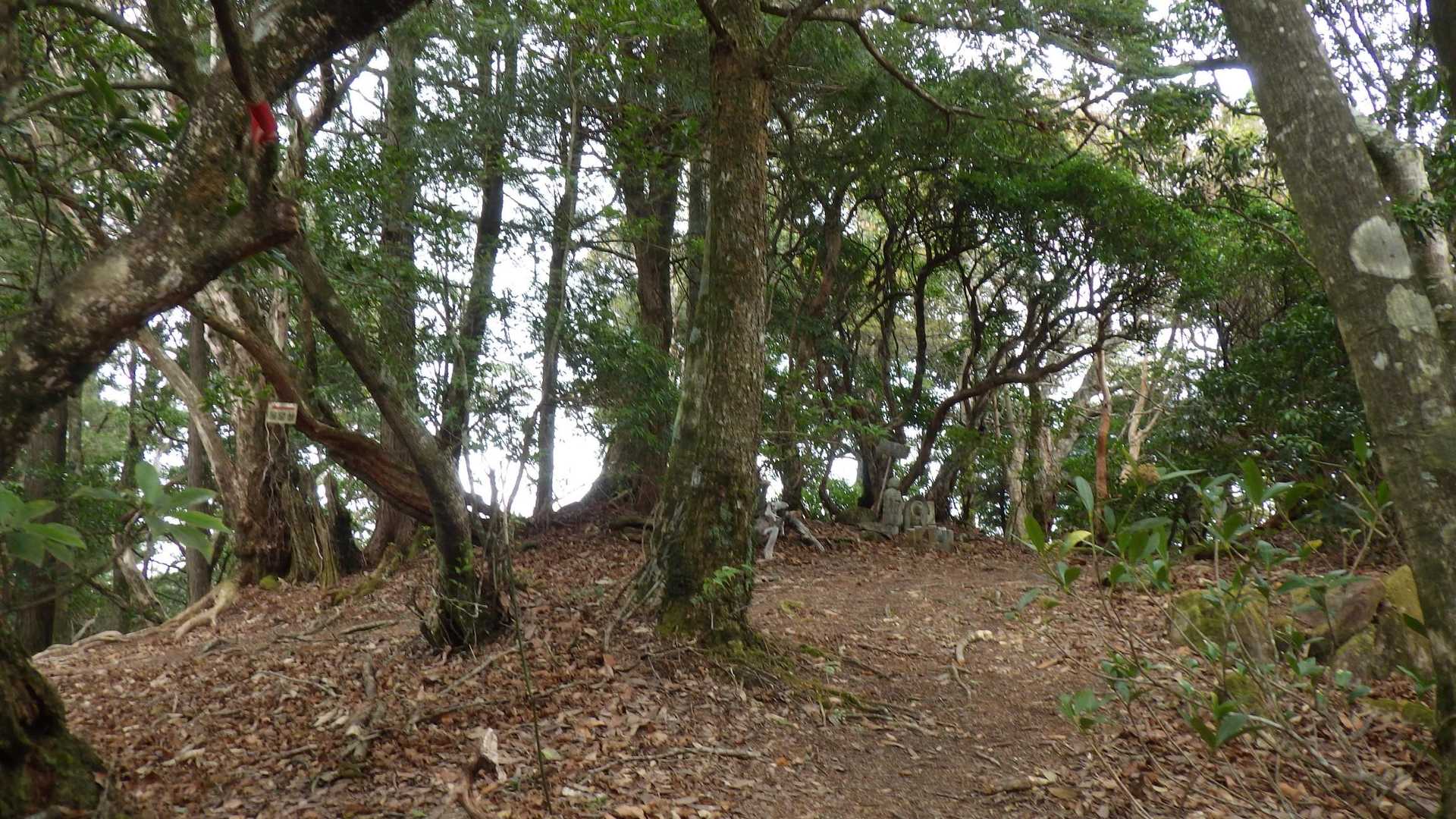 地蔵岳頂上着