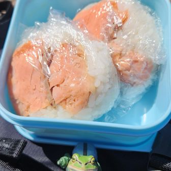 鮭おにぎり🍙!
仲間は炊きたてご飯でおにぎり作ってたけど、わたしは自宅で冷凍ご飯チンして作った鮭おにぎり🥲炊きたてご飯でおにぎり作りたかった～😢