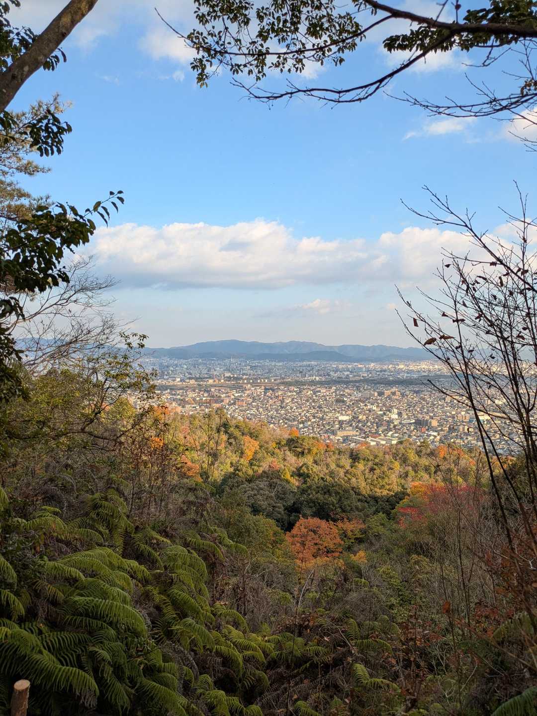 栂ノ尾バス停-白雲橋-福ヶ谷林道登山口-槙ノ尾バス停-愛宕 縦走コースの写真