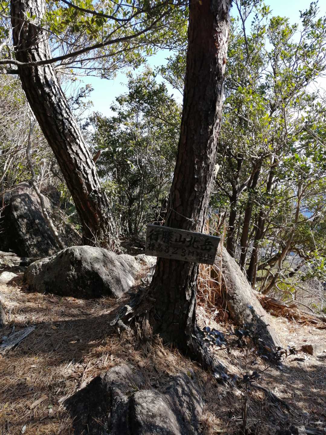 行縢山・北岳