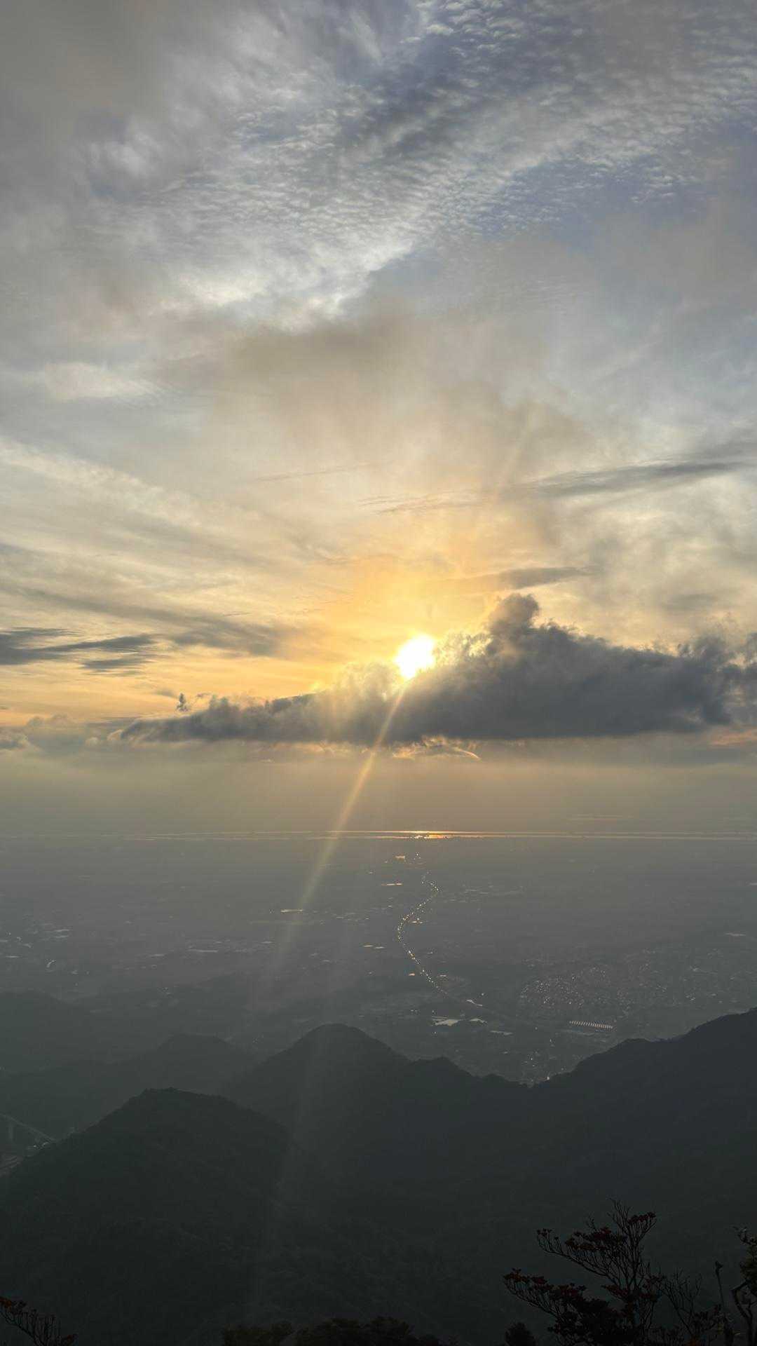 やっと来たー🙌
