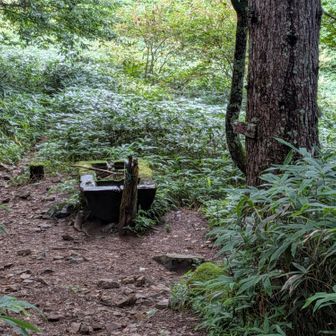 池山小屋分岐の水場🚰。500ml程度補給。