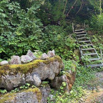 ここ！
穂高平近道ってあるけど
私的には、素直に林道歩いた方が後悔なくて良いと思う。