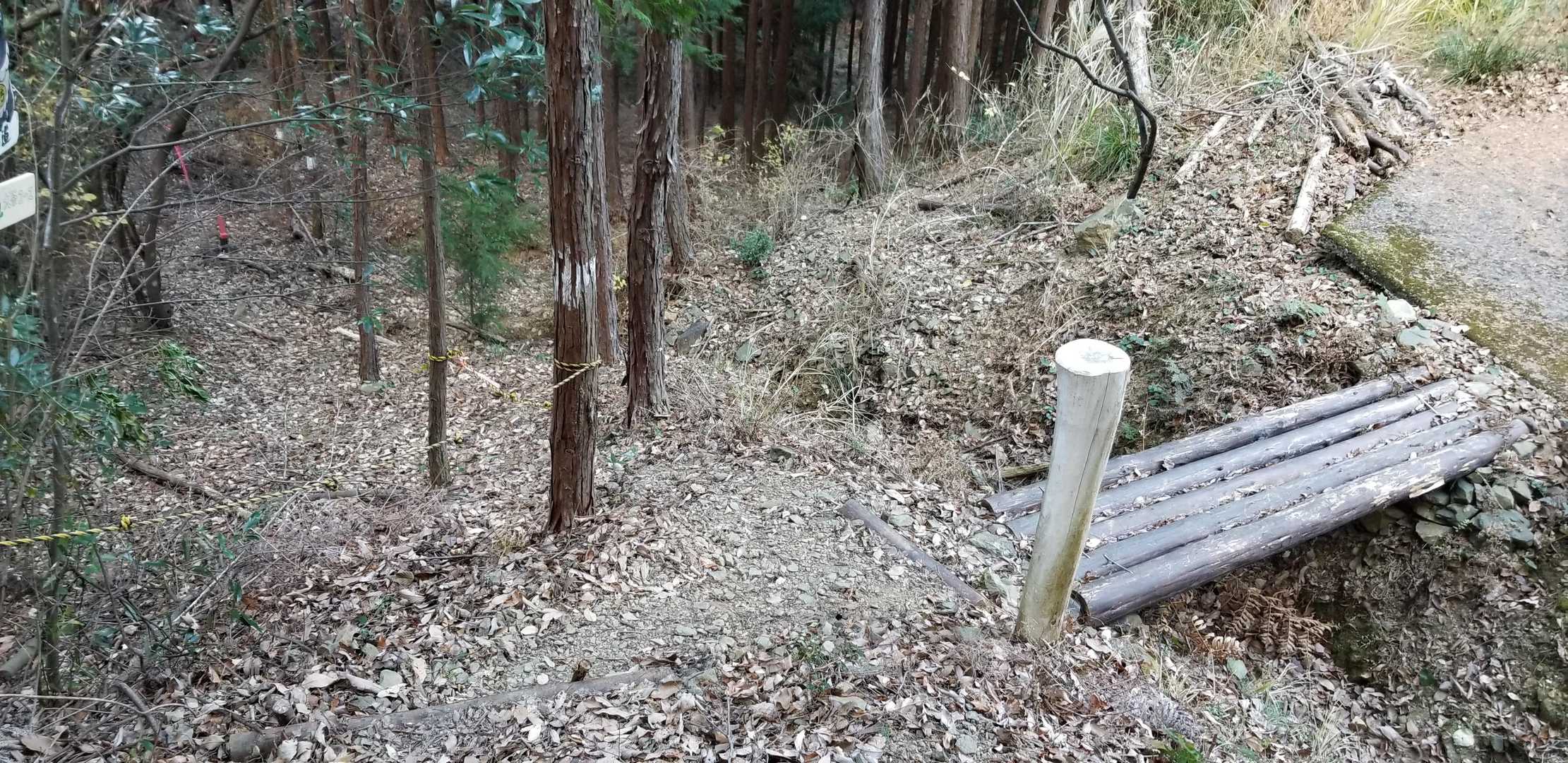 この橋を渡るとペガサスに首輪かけちゃうから左へゴー
