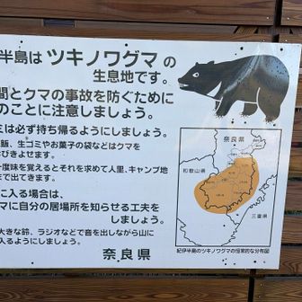 分かりやすい説明、熊さん見かけませんでした🙌