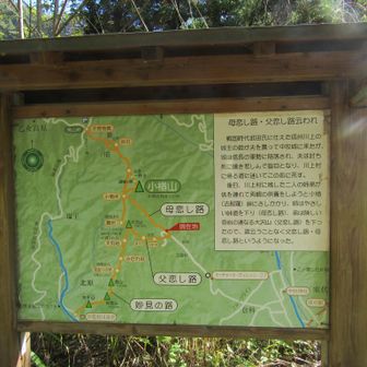 母恋し道へ
