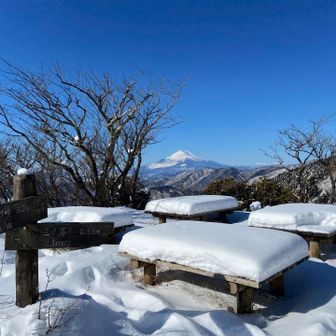 二の塔からの富士山