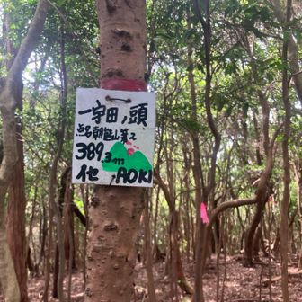 一宇田の頭プレートはがあちこちに