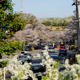 平日だけど渋滞気味