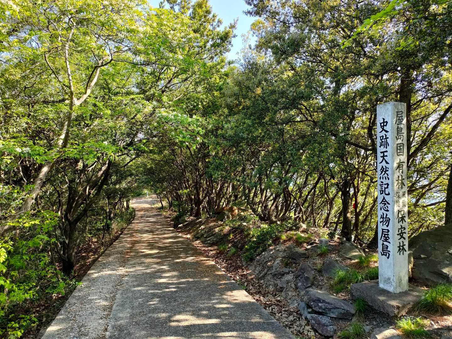 北嶺に向かう🏔
最初は舗装路