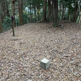 山頂は平らで広いんだけど寒々しいから9合目のあずまやまで移動するよ🏃‍♂️💨