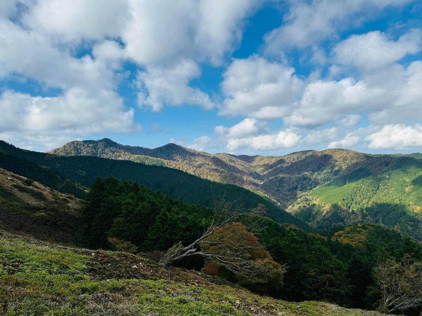 木屋谷雨量観測所-桧塚奥峰登山口-桧塚-桧塚奥峰 往復コースの写真